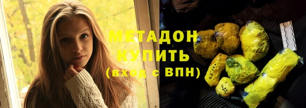 сатива Беломорск