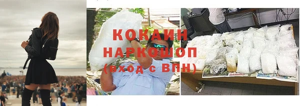 сатива Беломорск