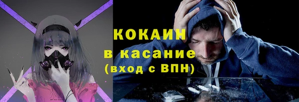 PSILOCYBIN Белокуриха