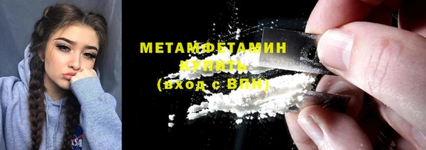 сатива Беломорск