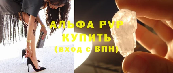 сатива Беломорск