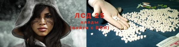 PSILOCYBIN Белокуриха