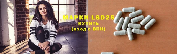 PSILOCYBIN Белокуриха