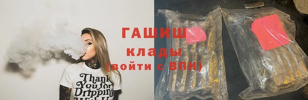 PSILOCYBIN Белокуриха