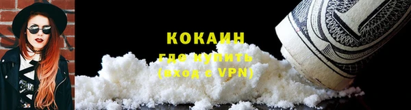 сатива Беломорск