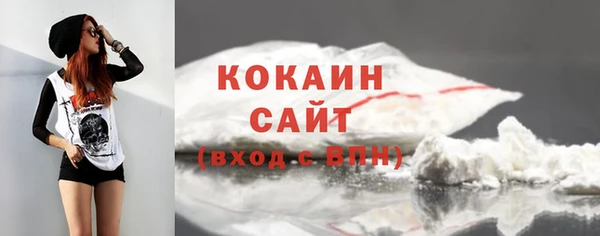 сатива Беломорск
