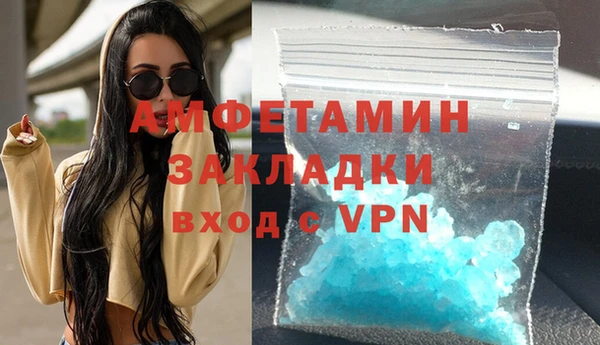 сатива Беломорск