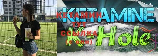 сатива Беломорск