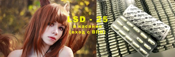 PSILOCYBIN Белокуриха