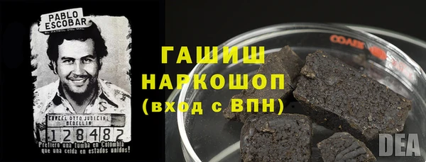 сатива Беломорск
