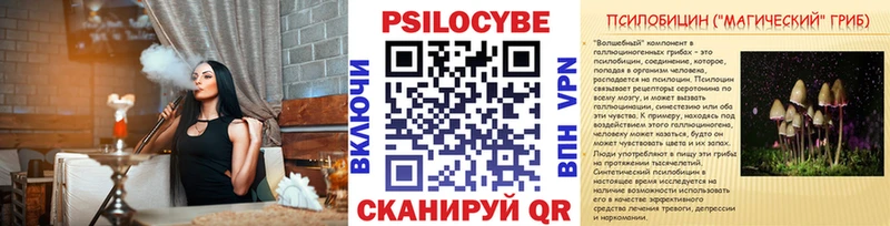 МЕГА Светлогорск Галлюциногенные грибы Magic Shrooms